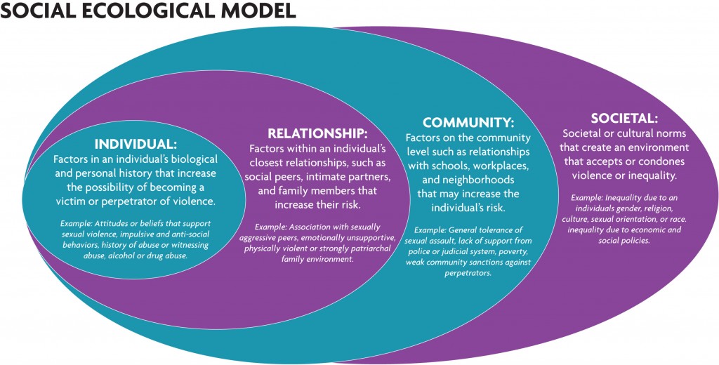 socioecological model